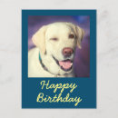 Suche nach alles gute zum hunde geburtstag karten Lustiger hund