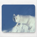 Suche nach fuchs mousepads Winter
