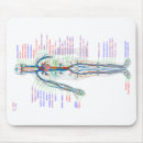 Suche nach arterien mousepads Menschlich