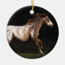 Suche nach appaloosa ornamente Reiter