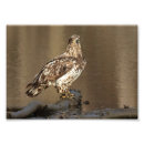 Suche nach schlamm poster Wasser