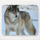 Suche nach graue wölfe mousepads Natur