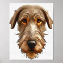 Suche nach irish wolfhound poster Grau
