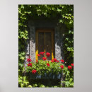 Suche nach efeu blätter poster Für sie