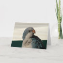 Suche nach position postkarten Blau