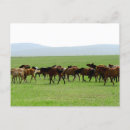 Suche nach galopp postkarten Natur