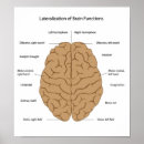 Suche nach funktionen poster Psychologie
