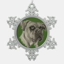 Suche nach carol ornamente Tier