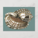 Suche nach verzieren postkarten Meer