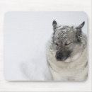 Suche nach temperatur mousepads Haustiere