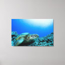 Suche nach underwater poster Wild lebende tiere