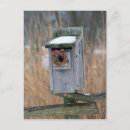 Suche nach vogelhäuser karten Nestbox