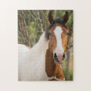Suche nach paint horse puzzle Tier