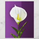Suche nach blüten flyer Blume