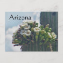 Suche nach kaktusblüte poster Arizona