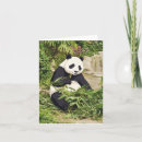 Suche nach panda karten Grüße