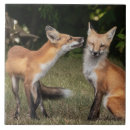 Suche nach münzen fliesen Tier