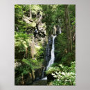 Suche nach fäden poster Natur