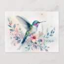 Suche nach hummingbird postkarten Hummingvogelpostkarte