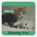 Suche nach tierärzte aufkleber Katze