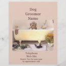 Suche nach der groomer der flyer Heimtierer