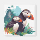 Suche nach puffin magnete Vogelvogel