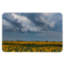 Suche nach gewitter magnete Landschaft