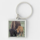 Suche nach yellowstone national park schlüsselanhänger Bison