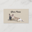 Suche nach bulldogge visitenkarten Frenchie
