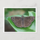 Suche nach das makro postkarten Natur