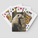 Suche nach grizzly spielkarten Natur