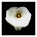 Suche nach abgeschieden poster Blume
