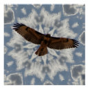 Suche nach spannweite poster Vogel