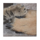 Suche nach beste freundin fliesen Beste freunde für immer