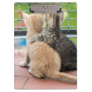 Suche nach kätzchen klemmbrett Katzen