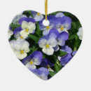 Suche nach stiefmütterchen ornamente Blume