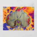 Suche nach abstraktes feuer postkarten Flamme