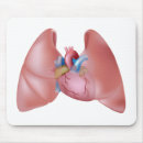 Suche nach lunge mousepads Organ
