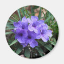 Suche nach violette blumen magnete Natur