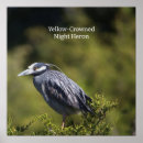 Suche nach vogelbeobachtung kunst Tierwelt