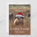 Suche nach weihnachtskuh karten Santa kuh