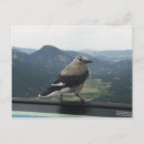 Suche nach nutcracker postkarten Fotografie