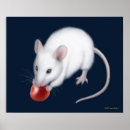 Suche nach gerbil poster Niedlich