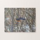 Suche nach rotkehlchen puzzle Winter