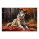 Suche nach sibirischer husky poster Haustier