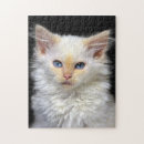 Suche nach rote augen puzzle Haustier
