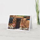 Suche nach new mexiko karten Reise