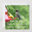 Suche nach kolibris einladungen Natur