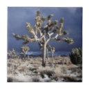 Suche nach nationalpark fliesen Wüste