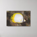 Suche nach bunte leinwand Horizontal